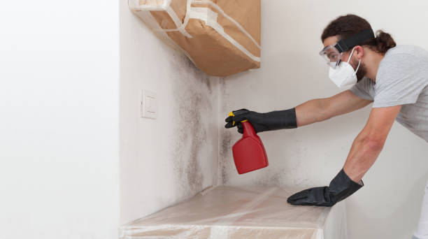 Professional Bathroom Mold Removal technician working in New Hope, MN