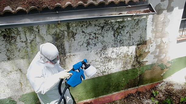 Top rated local Bathroom Mold Removal specialists in New Hope, MN